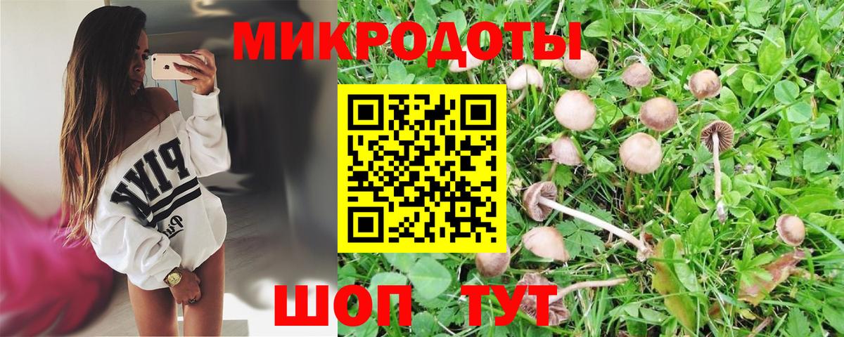 Псилоцибиновые грибы GOLDEN TEACHER Гатчина